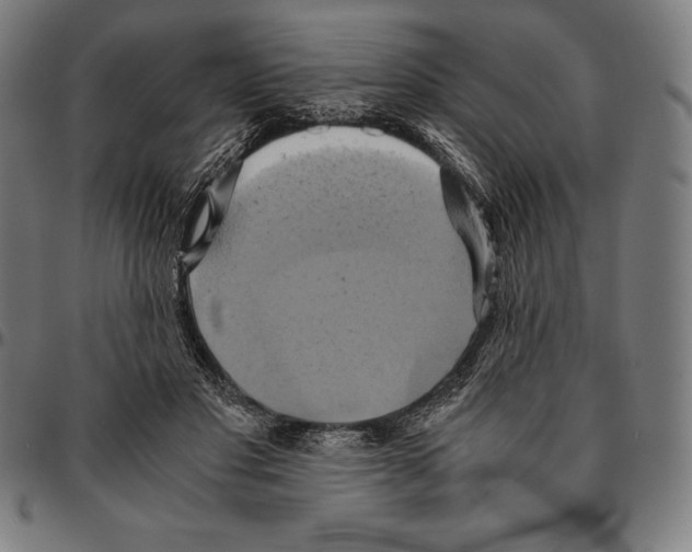 X0000095120501200801041226