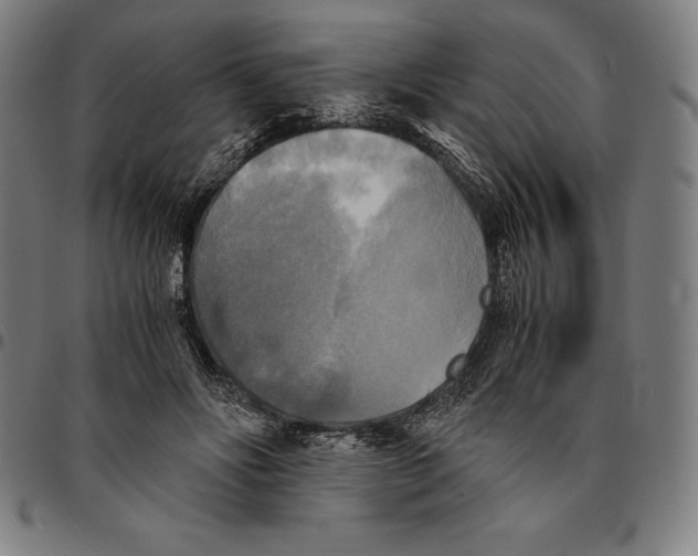 X0000095120502200801041226