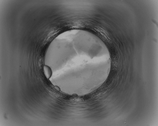 X0000095120503200801041226