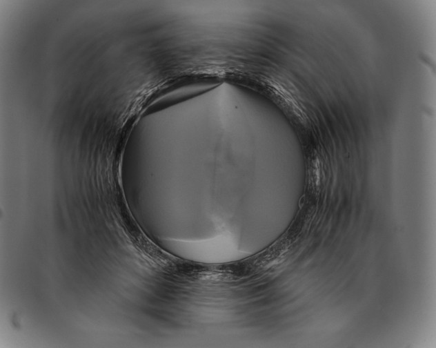 X0000095120504200801041226