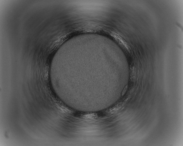 X0000095120505200801041226