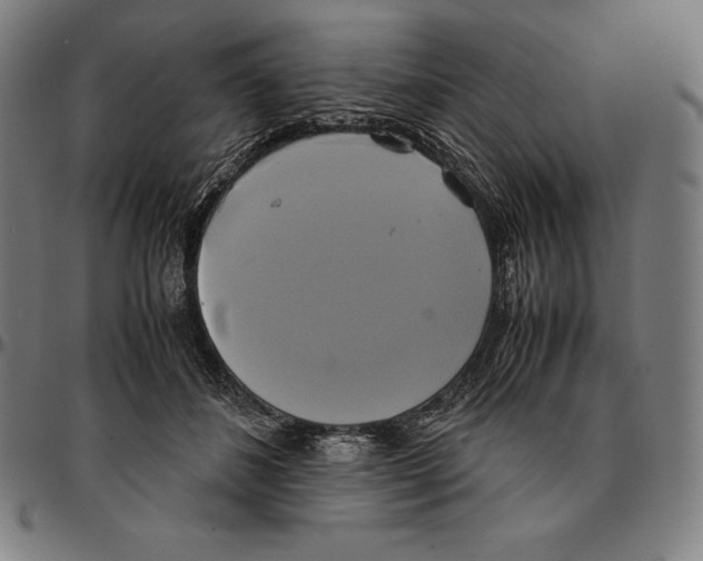 X0000095120508200801041226