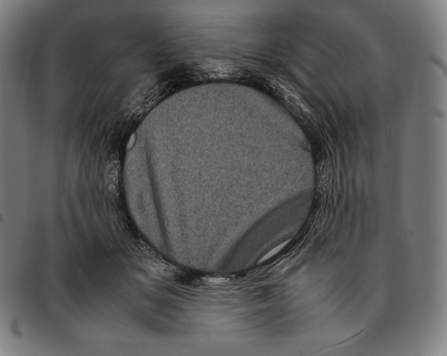 X0000095120509200801041226