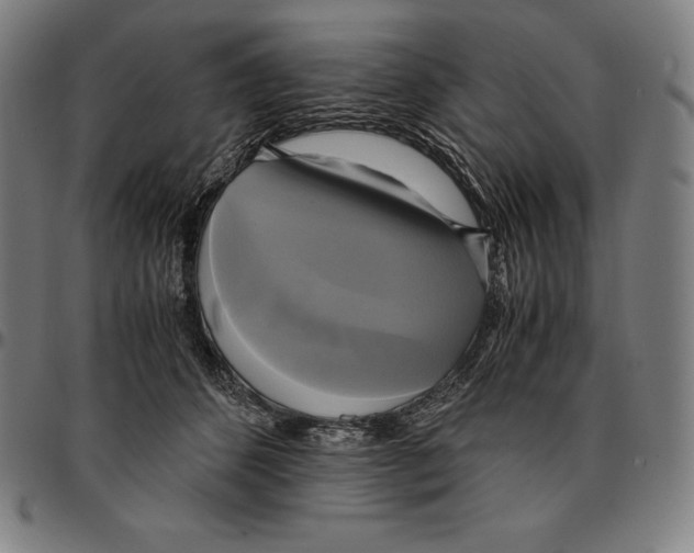 X0000095120512200801041226