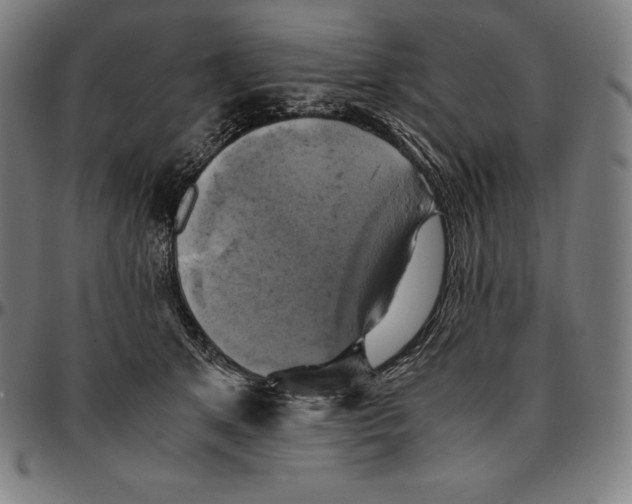 X0000095120513200801041226