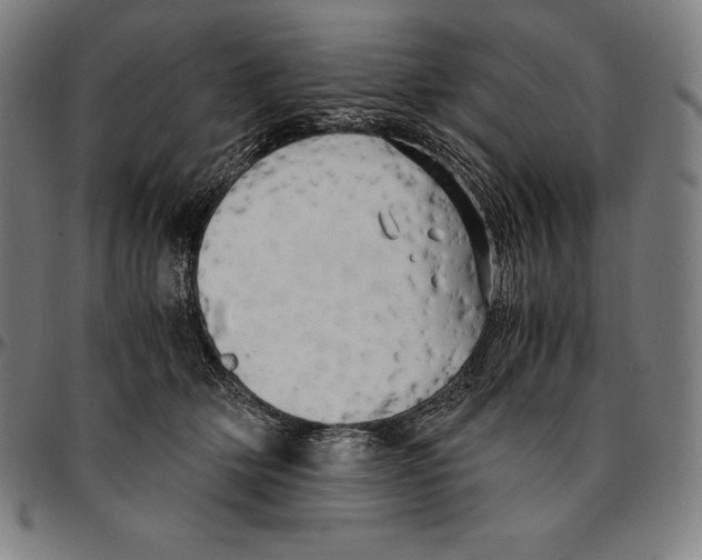 X0000095120514200801041226