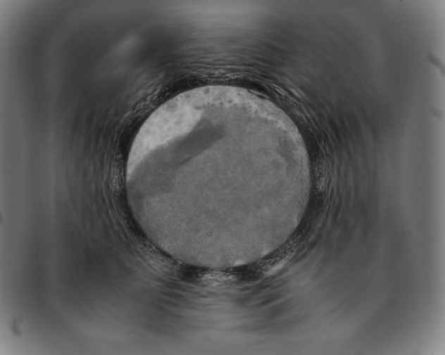 X0000095120515200801041226