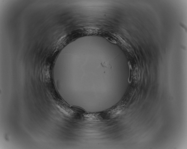 X0000095120516200801041226