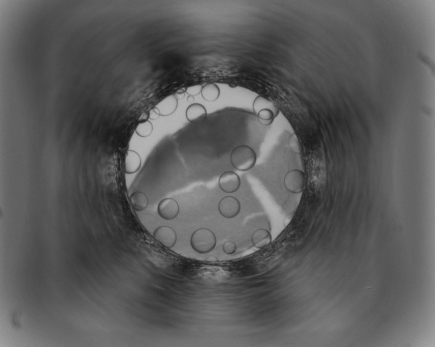 X0000095120519200801041226