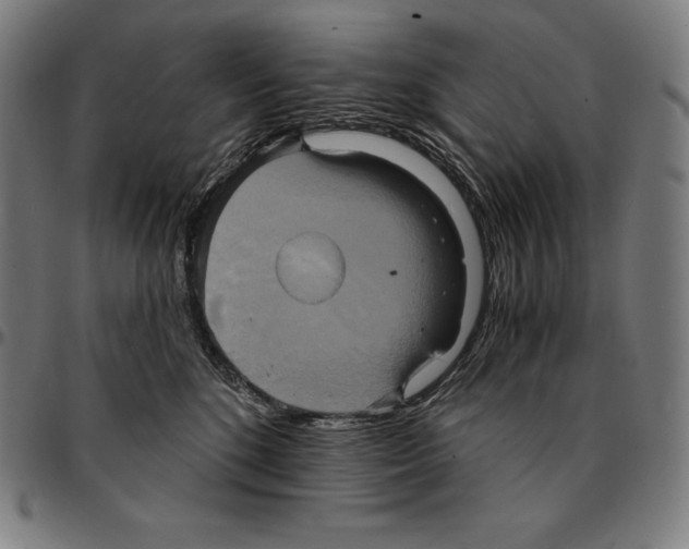 X0000095120520200801041226