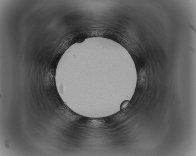 X0000095120522200801041226