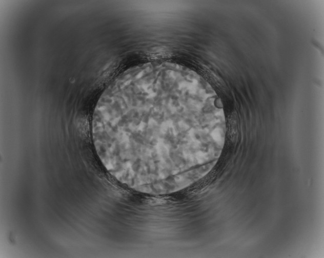 X0000095120523200801041226