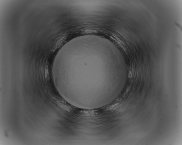 X0000095120524200801041226