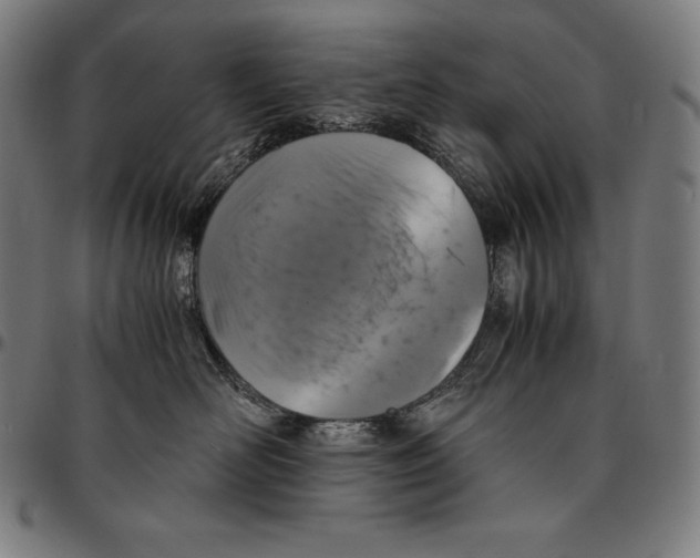 X0000095120526200801041226