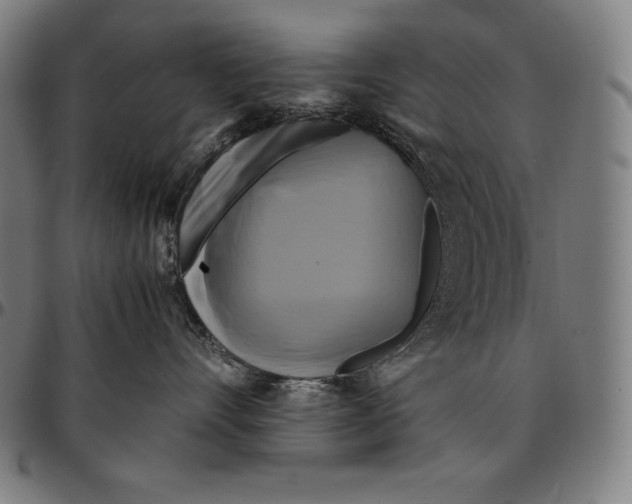 X0000095120528200801041226