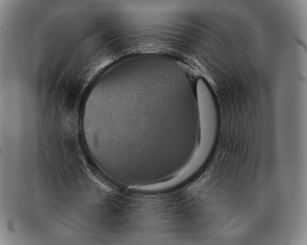 X0000095120530200801041225