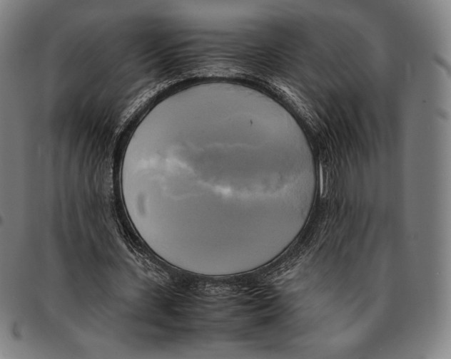 X0000095120531200801041225