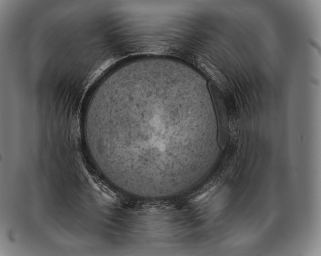 X0000095120532200801041225