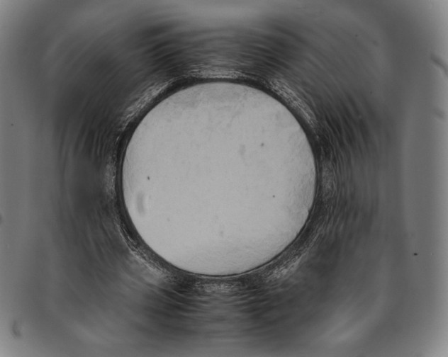 X0000095120533200801041225