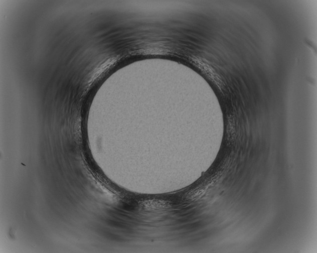 X0000095120535200801041225