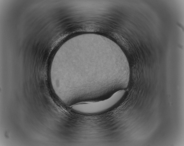 X0000095120536200801041225