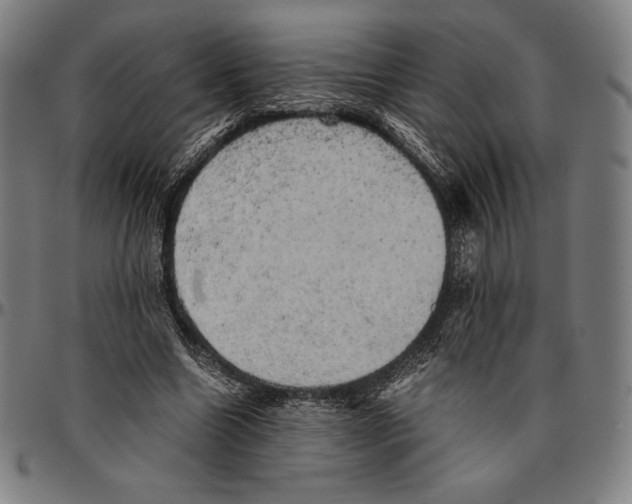 X0000095120538200801041225