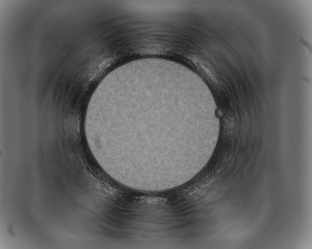 X0000095120539200801041225