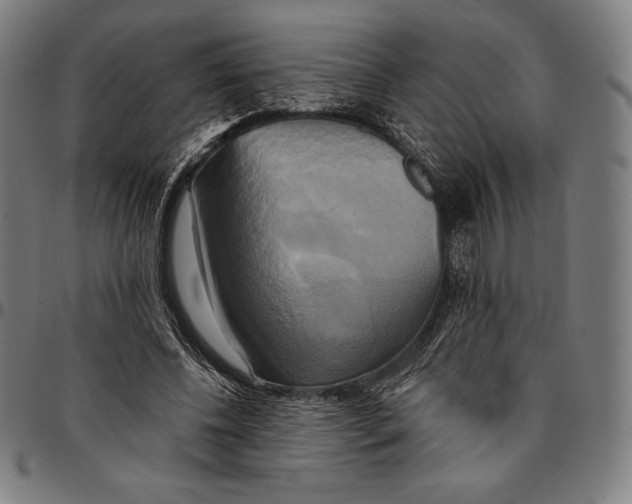 X0000095120540200801041225