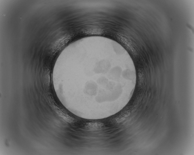 X0000095120541200801041225