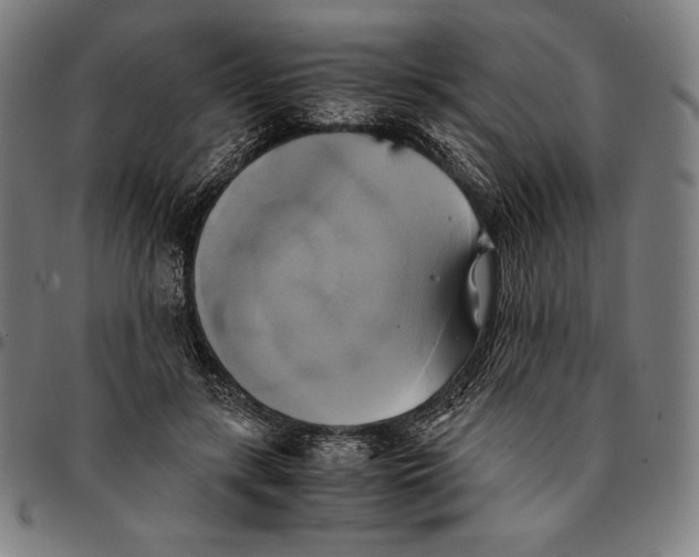 X0000095120547200801041225