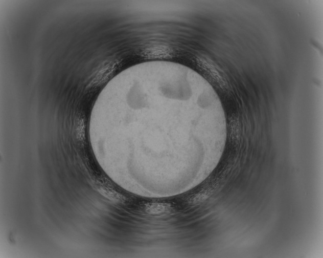 X0000095120549200801041225