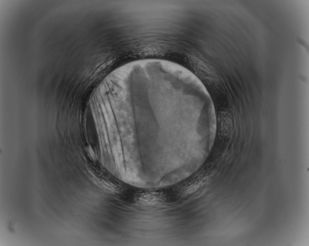 X0000095120550200801041225