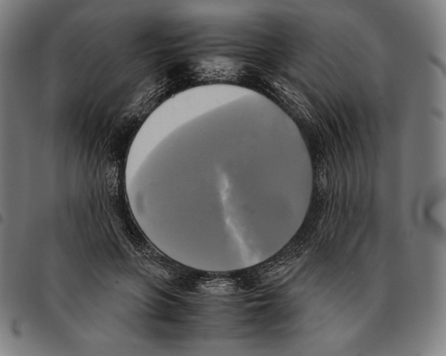 X0000095120551200801041225