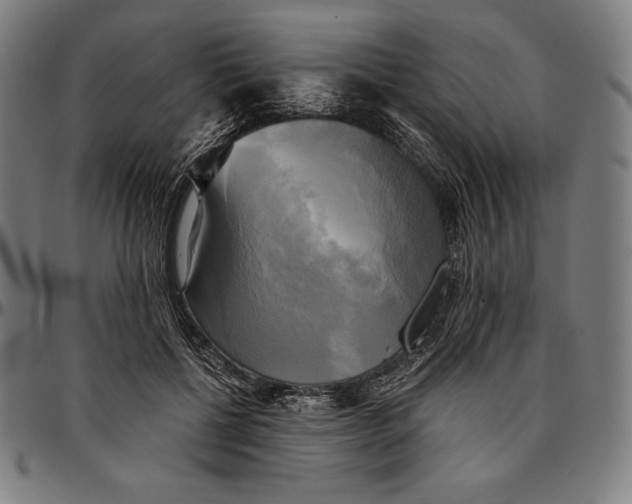 X0000095120552200801041225