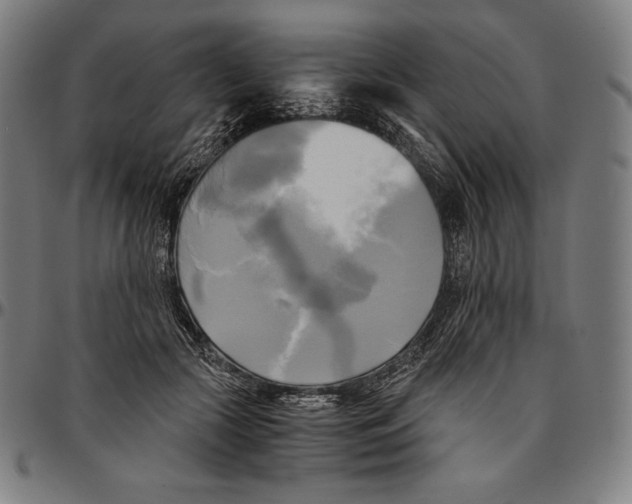 X0000095120553200801041225