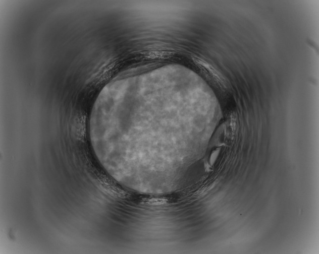 X0000095120554200801041225