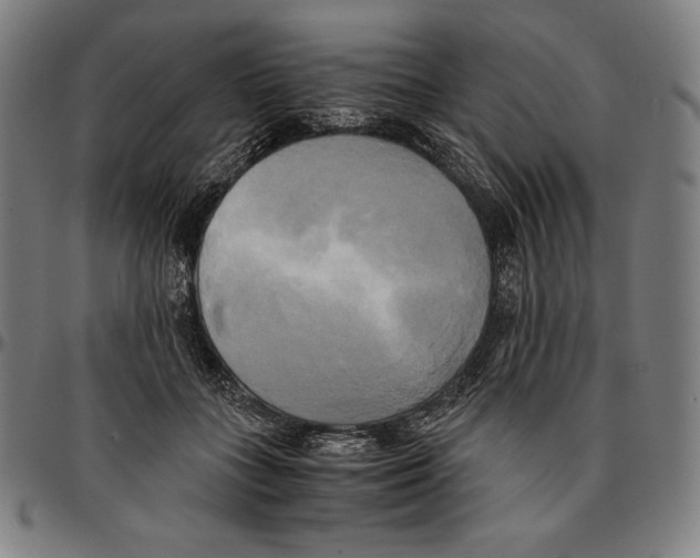 X0000095120555200801041225