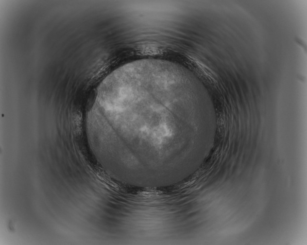 X0000095120556200801041225