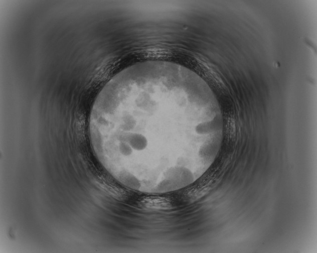 X0000095120557200801041225