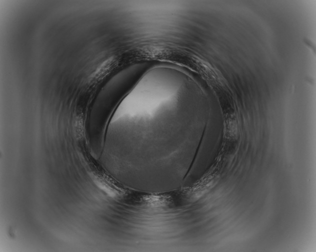 X0000095120558200801041225