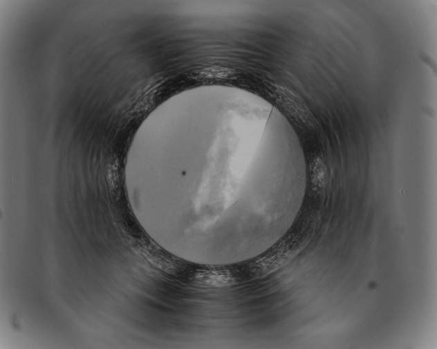 X0000095120559200801041225