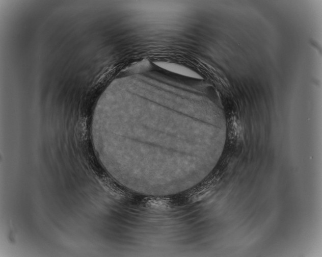 X0000095120560200801041225