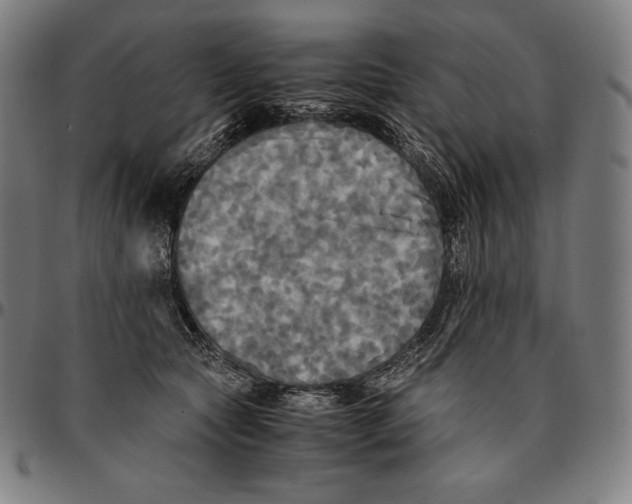 X0000095120561200801041225