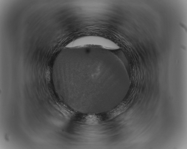 X0000095120562200801041225