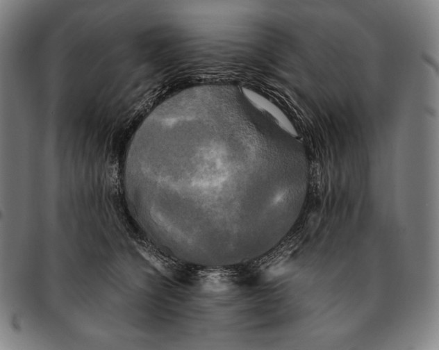 X0000095120564200801041225