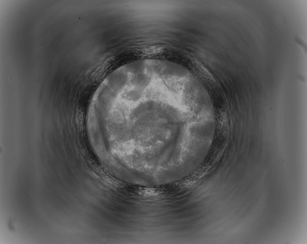 X0000095120565200801041225