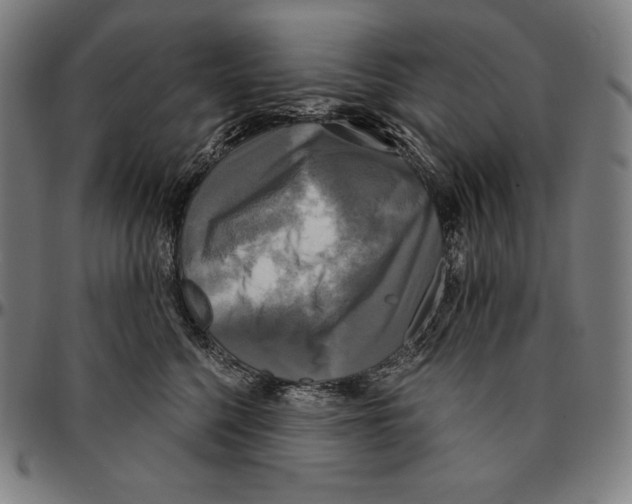 X0000095120568200801041226