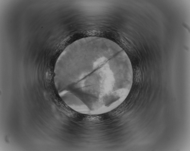 X0000095120569200801041226