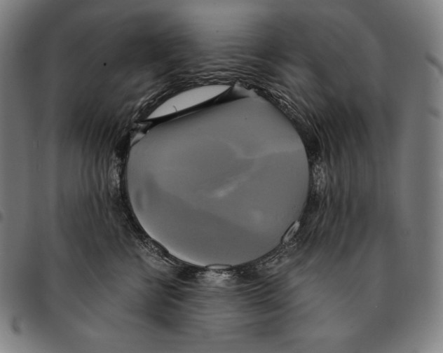 X0000095120570200801041226