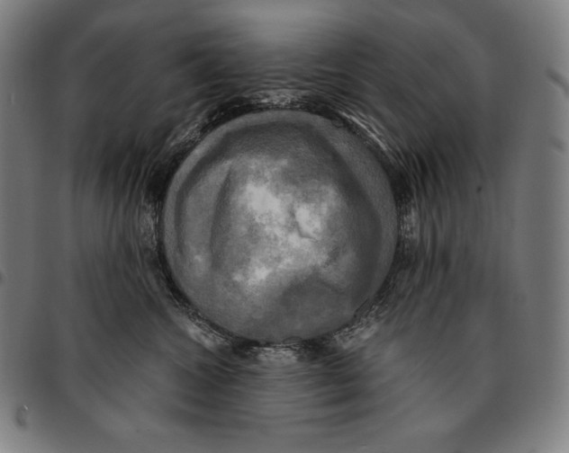 X0000095120572200801041226